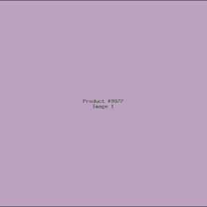 Example Product 9977