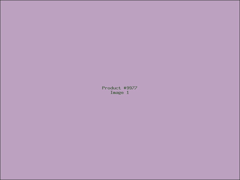 Example Product 9977