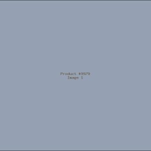 Example Product 9979