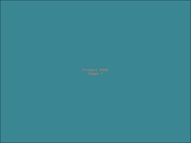 Example Product 998 - Image 2