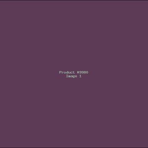 Example Product 9980