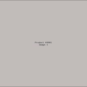 Example Product 9981