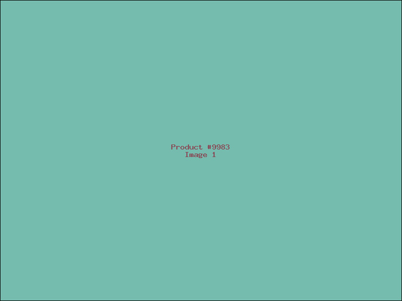 Example Product 9983