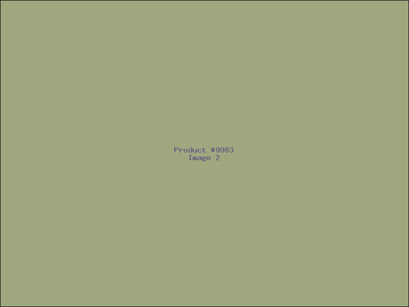 Example Product 9983 - Image 2