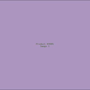 Example Product 9985