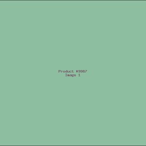 Example Product 9987