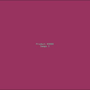 Example Product 9988