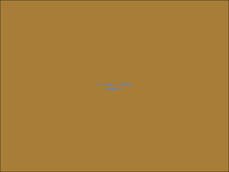 Example Product 9988 - Image 2