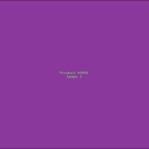 Example Product 9991
