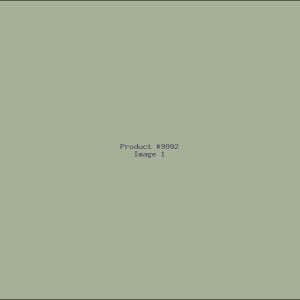 Example Product 9992