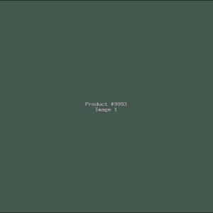 Example Product 9993